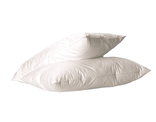 Anti allergie hoofdkussen