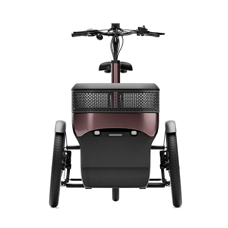 Van Raam Thuja driewielfiets met twee voorwielen en een bagage bak aan de voorkant vooraanzicht