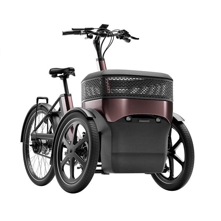 Van Raam Thuja driewielfiets met twee voorwielen en een bagage bak aan de voorkant