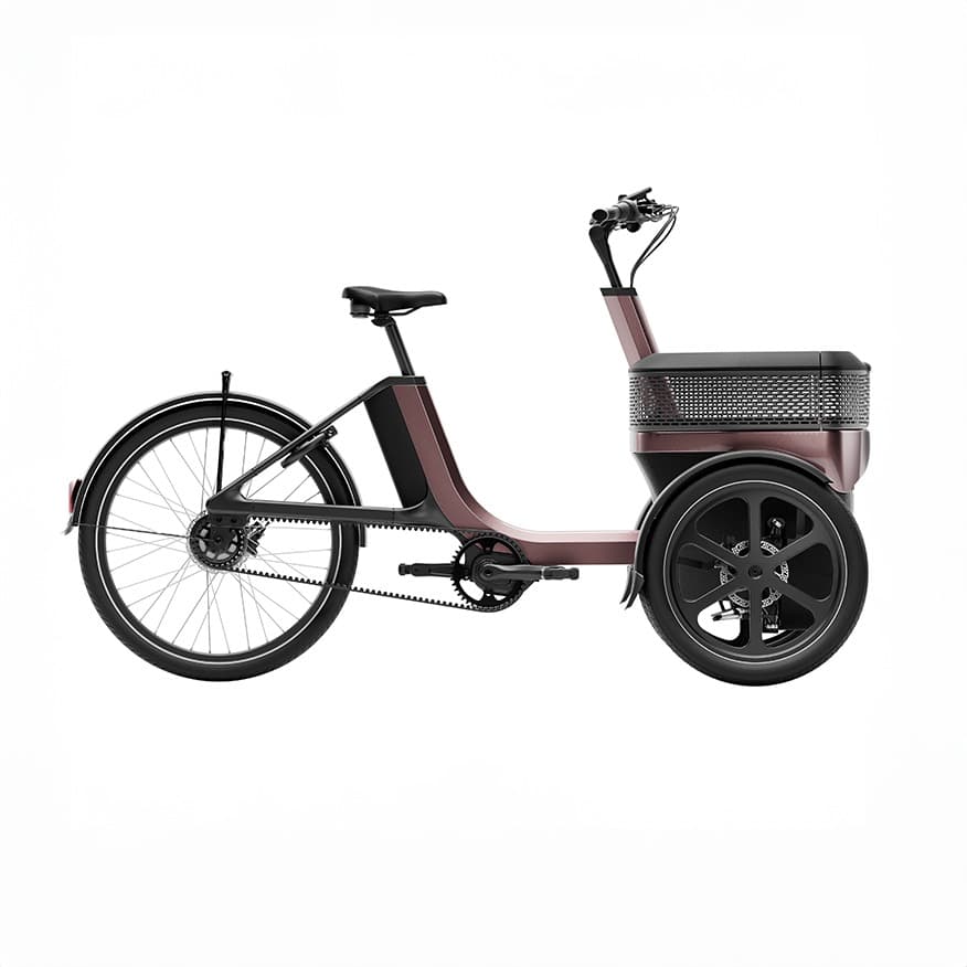 Van Raam Thuja driewielfiets met twee voorwielen en een bagage bak aan de voorkant zijaanzicht